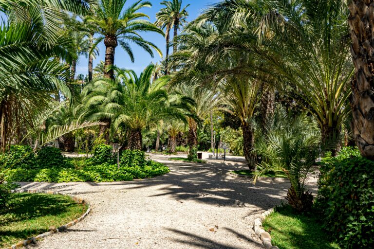 Elche Travel Guide